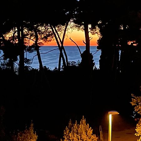Robi Apartment Rovinj Exterior photo