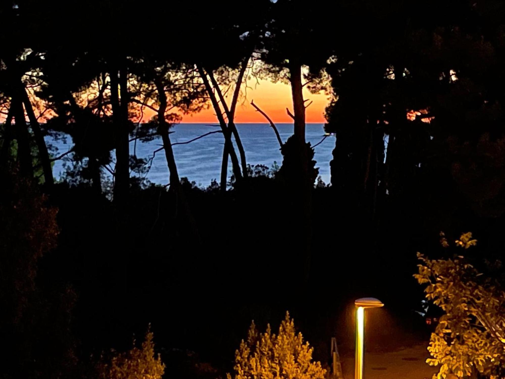 Robi Apartment Rovinj Exterior photo